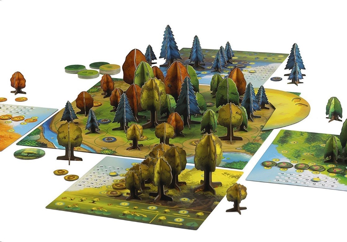 Photosynthesis board game 2