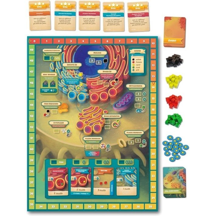 cytosis board game